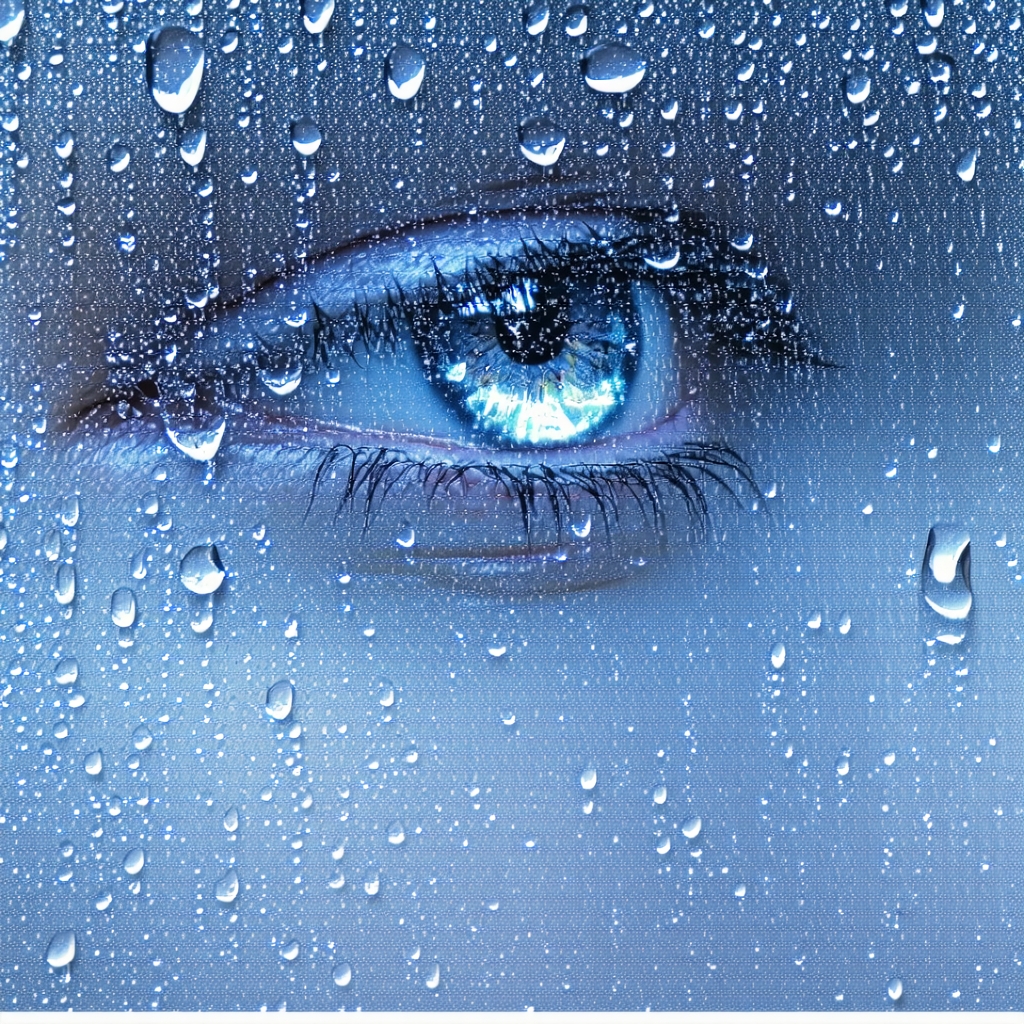 暖雨晴风初破冻，柳眼梅腮，已觉春心动。